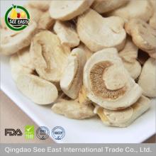 Halal food chinese freeze dried mushroom from ISO certified company