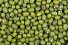 high quality first grade mung beans cheap price