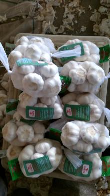 PURE WHITE GARLIC