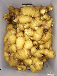 fresh ginger
