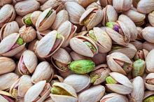  best  quality grade  pistachios  good price