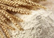 high quality premium and first grade wheat flour