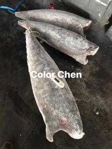 Frozen oilfish HGT smooth skin