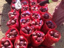 Red and Yellow Onion