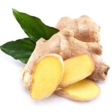 Ginger