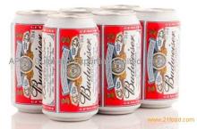 Budweiser 50cl can