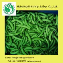 Frozen  IQF   Sugar  Snap Pea