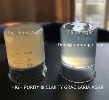 AGAR AGAR GUM FACTORY SUPPLY DIRECTLY