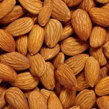 Best price raw medicinal materials dried nuts kernels almond /bitter almond kernels