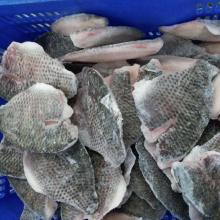  Frozen   Tilapia   Fish ,  Frozen  Salmon /Horse Mackerel