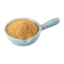  Angelica   Extract 