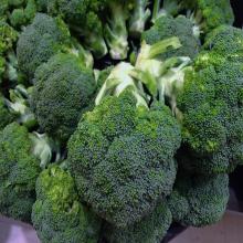 Fresh Broccoli, Green Broccoli