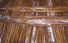 Fresh  Burdock  Best Selling Products