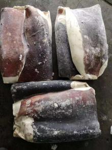 Seafrozen Gaint Squid fillets skin on ( Dosidicus   Gigas )