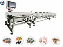 Poultry Chicken Sorting and  Grading   machine 