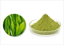 barley seedling powder