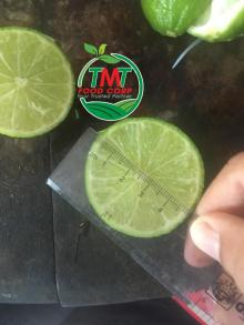 LIME AND SEEDLESS LIME