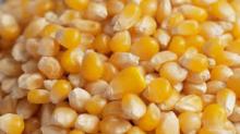 Yellow corn