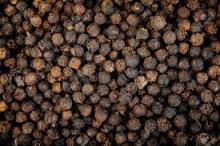 Vietnam black pepper cheap price