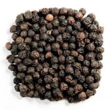 High Quality  Organic   Seasoning  Black Pepper