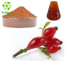 Bulk Rosehip Powder 10% VCUV Rose Hip Extract Flavone