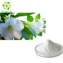 natural extract 98% 99% bulk scopolamine hydrobromide powder