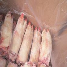 Frozen Pork Tongue and Frozen Pork leg supplier