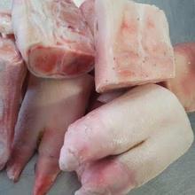 Original frozen pork from Germany at cheap price