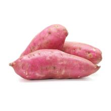  Sweet  Potato