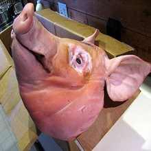 Frozen Pork Meat / Pork Hind Leg / Pork Feet for sale