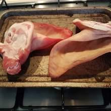 Wholesale Frozen pork offals - kidney, heart and liver for sale
