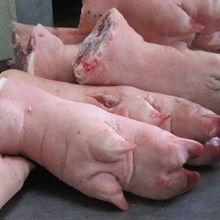 Frozen pig Pork Meat, Ribs, Legs and Pork Head for sale