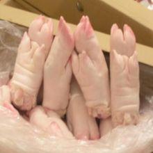 frozen pork sides,Pork Tails , Suckling Pork Belly,Shoulders and hams for sale