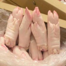Frozen Pork Feet, Shaved pork riblet, Pork back feet, Pork tails, Pork heads, Pork