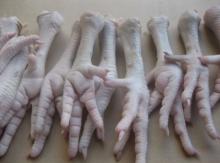 Frozen chicken feet