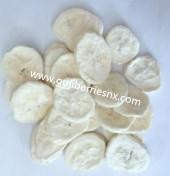 Freeze Dried Banana Slices