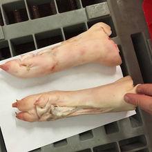 Frozen Pork Half Carcass for sale Pork Meat