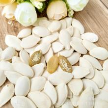 Roasted Snow White Pumpkin Seeds