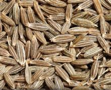 Cumin see