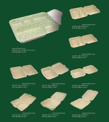  biodegradable   tableware  container