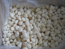 Frozen Garlic Dice, IQF Garlic Cloves, Frozen Garlic Paste