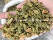Dried  Fruit  Green  Raisin  Seedless  Fruit  Products