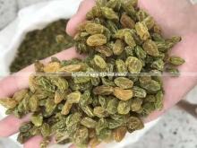 Chinese Xinjiang Dried Prices Golden Raisins for Importers