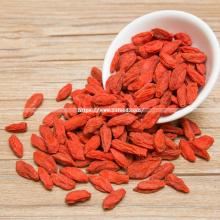 Import Bulk Organic Goji Berries Dried