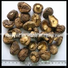 Dried Shiitake Mushroom Whole