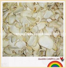 Dried Pleurotus Eryngii Mushroom Slice