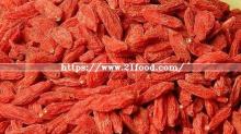 Chinese Wolfberry 20 Fresh Crop
