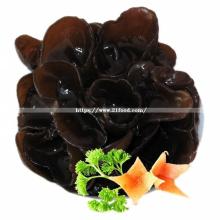 Edible Black Fungus/Dried Tree Black Fungus Mushroom