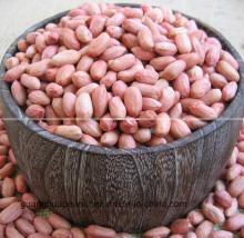 New Crop Best Qualtiy Raw Peanut Kernels
