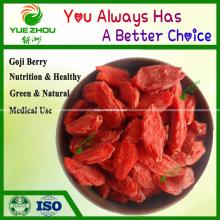 China Goji Organic Goji Berry 160 PCS Per 50g